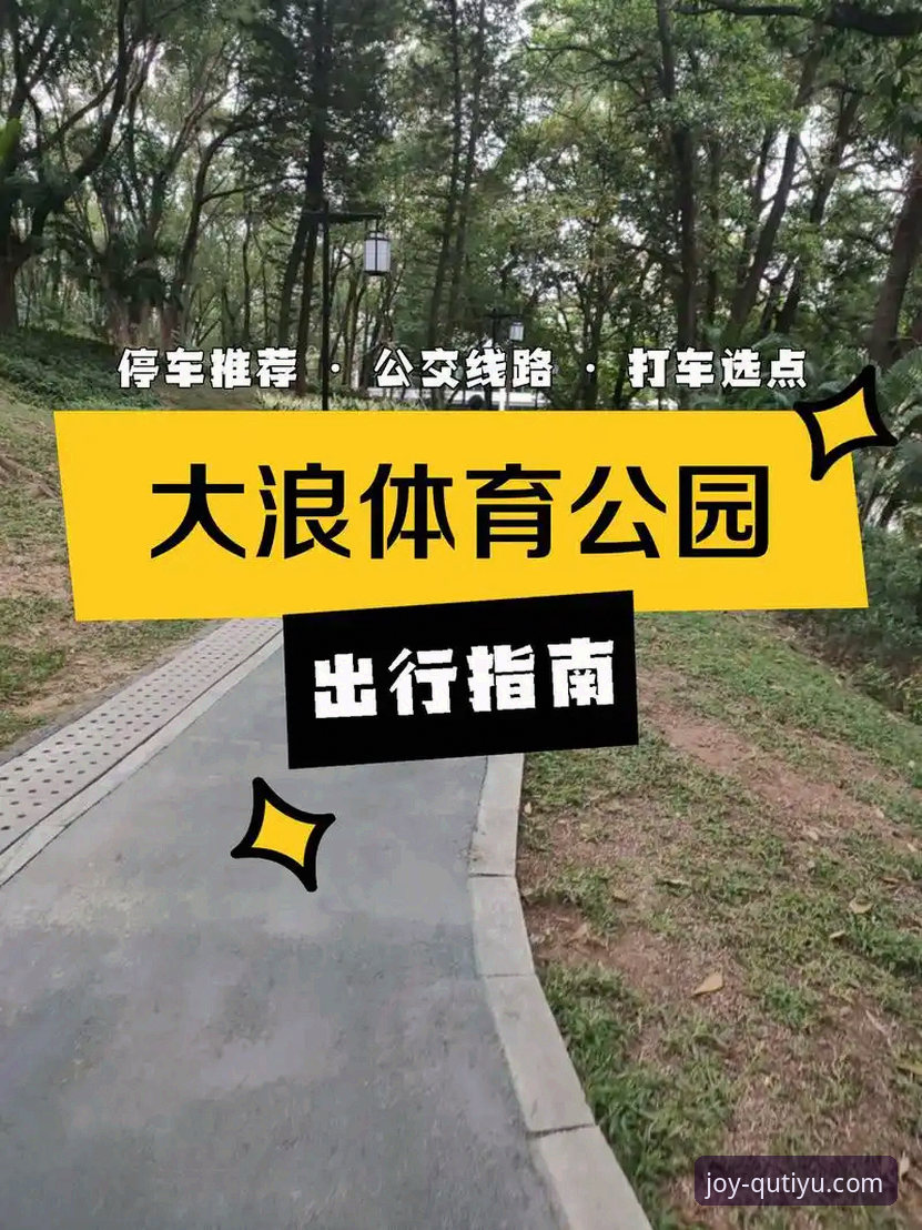 趣体育用户评价 趣体育用户评价完整指南:从下载体验到赛事直播的深度解析