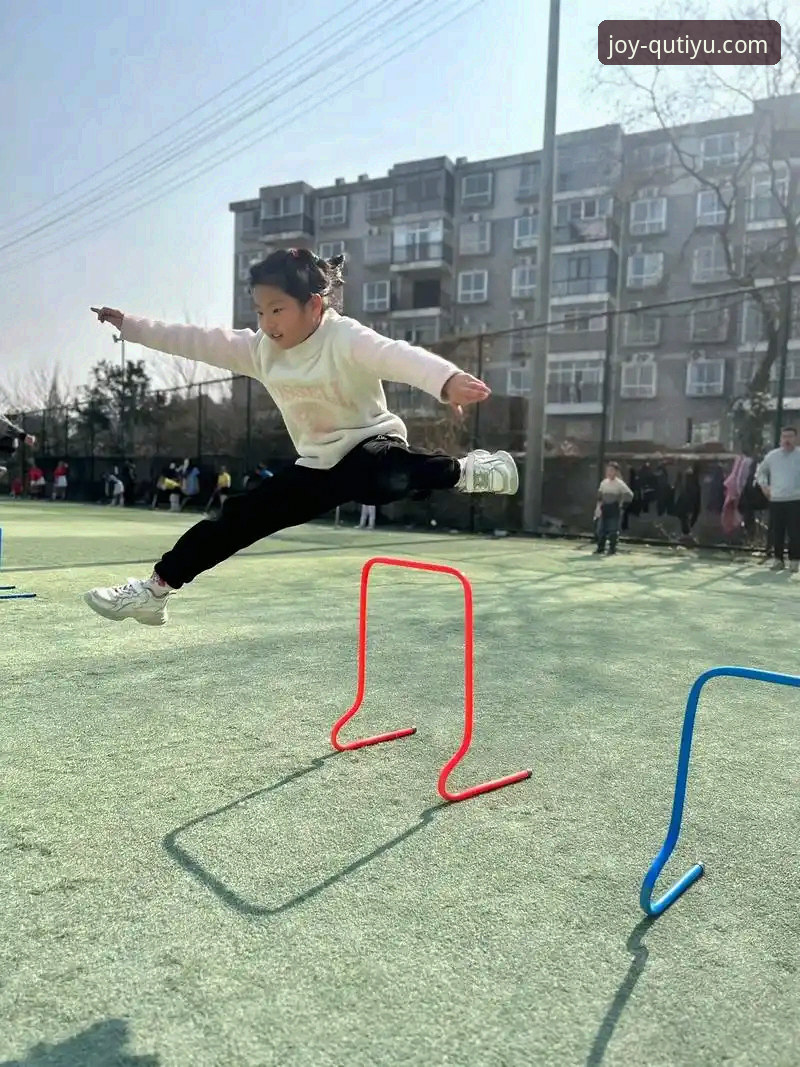 趣体育手机版 趣体育手机版功能评测与使用指南