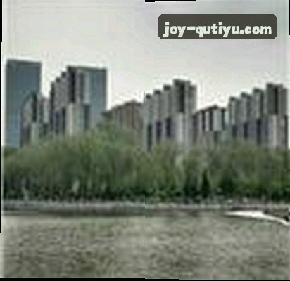 王磊